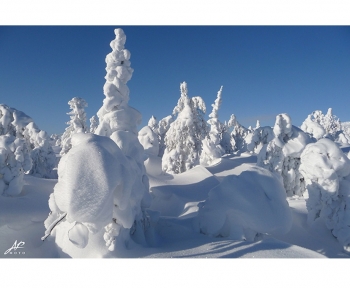 Зима в горах. Артикул: 004